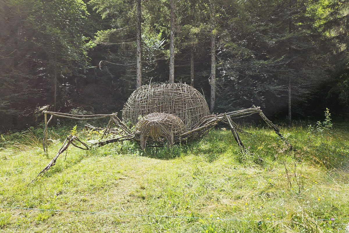 Ledro Land Art e attività nella pineta di Pur